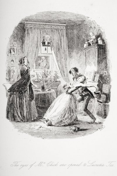 The Eyes of Mrs. Chick are Opened to Lucretia Tox, Illustration from 